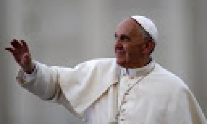 ‘Alle dieren gaan naar de hemel’, zegt de paus
