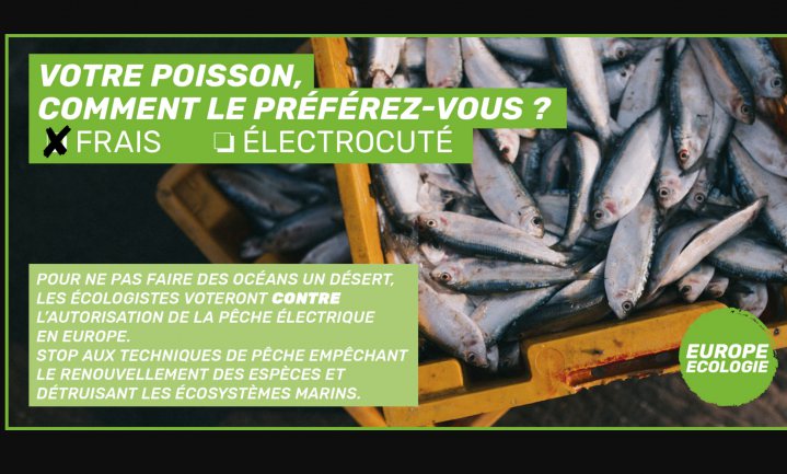 Luister goed naar Franse vissers, ze zoeken geld en een toekomst