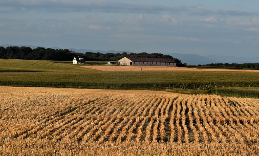 Vlaanderen laat zich door Frankrijk inspireren om boeren eerlijker te belonen