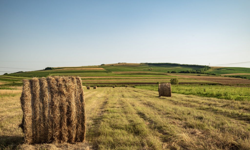 Wat kost een hectare landbouwgrond in Europa?