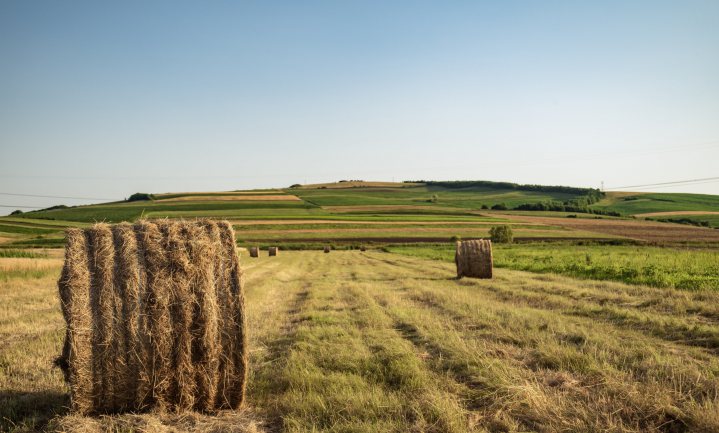Wat kost een hectare landbouwgrond in Europa?