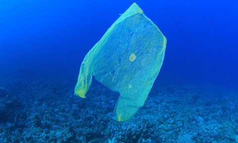 Onzichtbaar en onbekend gevaar, maar wel griezelig: plastic ‘lekt’