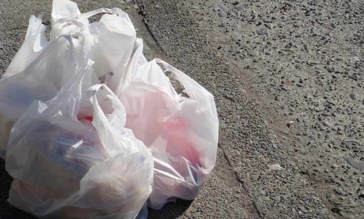 Toch geen algemeen verbod op plastic tasjes in Vlaanderen