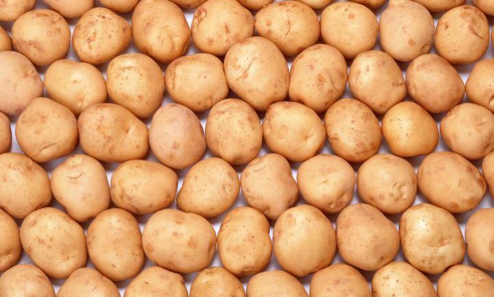 Aardappelaar HZPC laat Russen niet verhongeren