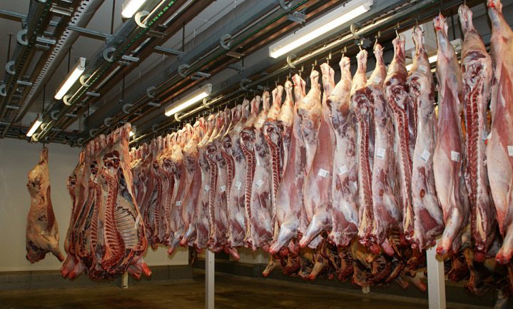 ‘Geen besmet Pools rundvlees in Nederlandse winkels’