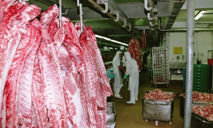Minister Schouten dreigt slachthuizen te sluiten; corona-ultimatum voor de vleessector