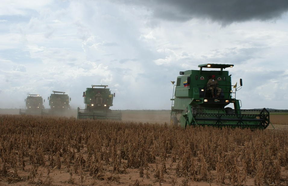 Braziliaanse soja verdringt die uit de VS