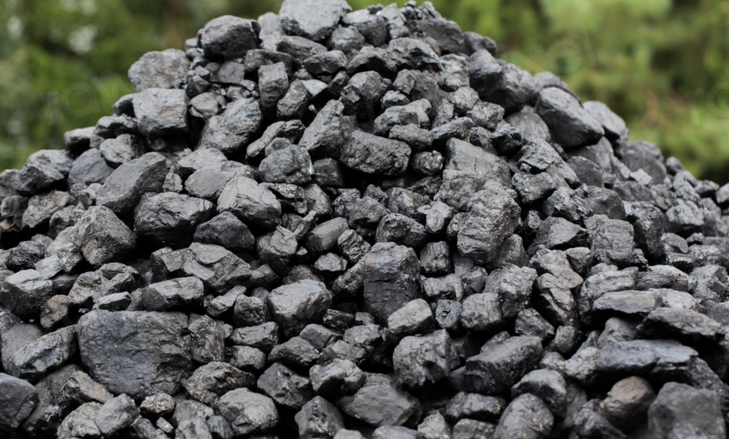 Chinezen ontdekken steenkool als varkensvoer