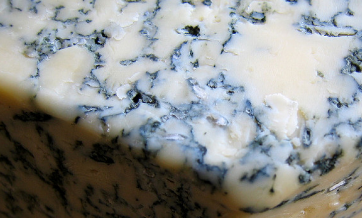 Bier en blauwe kaas ontdekt in 2.700 jaar oude mensenpoep