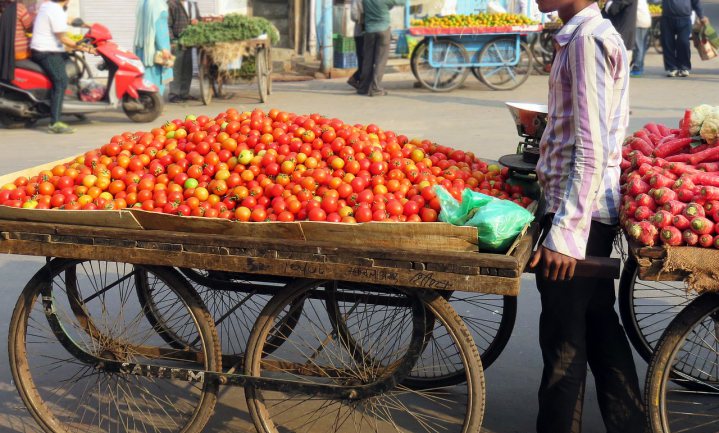 Tomatencrisis India leidt tot onrust en diefstal