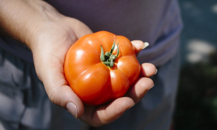 Culinair ontdekt: Tomaten
