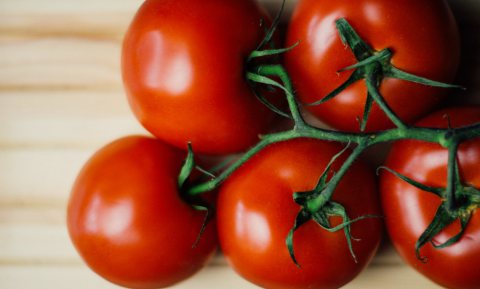 Overleeft tomaat de vitamine D truc?