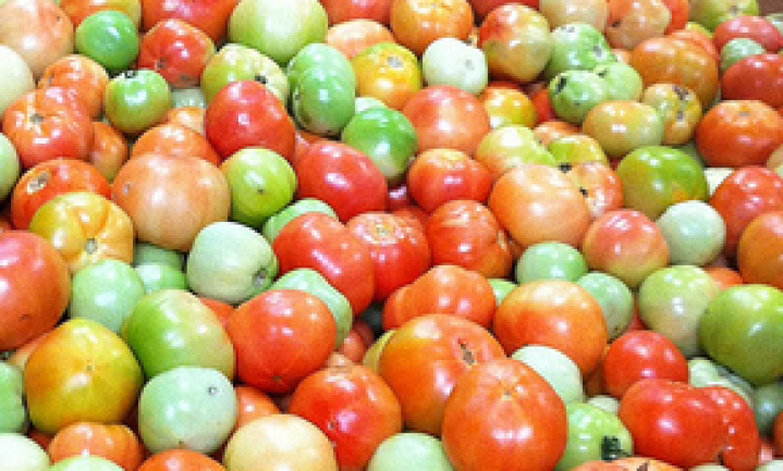 Tomatenafval waardevoller dan tomaten?