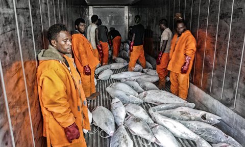 Big Data helpen illegale visserij tegen te gaan
