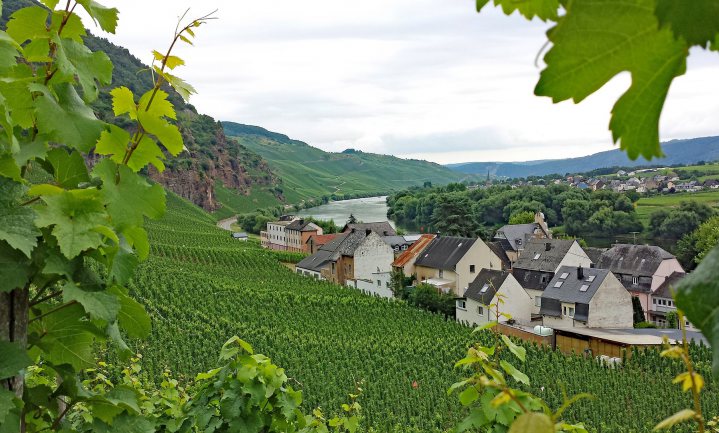 ‘Duitse wijnwonder’ hoeft de massa niet te pakken