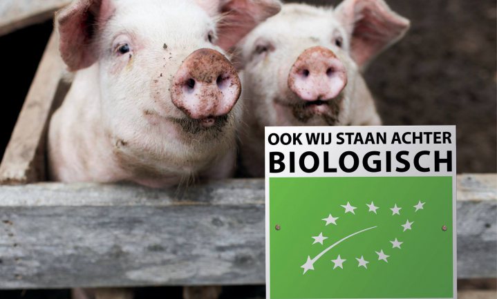 ‘Biologische kippen en varkens slecht voor Nederlandse natuur’