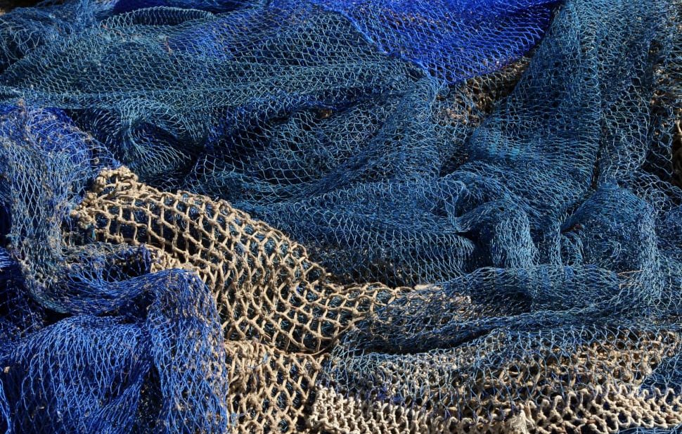 ‘Goed nieuws, maar NGO’s blijven drammen’: overbevissing met 50% gereduceerd in afgelopen 15 jaar