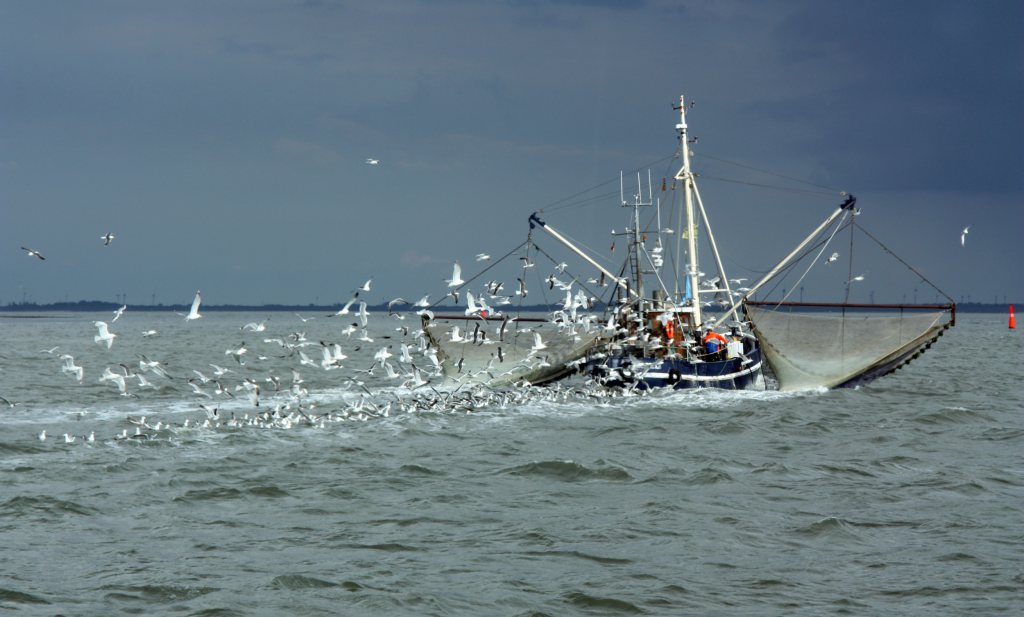 Tijdelijk visakkoord helpt vissers uit de brexitnood