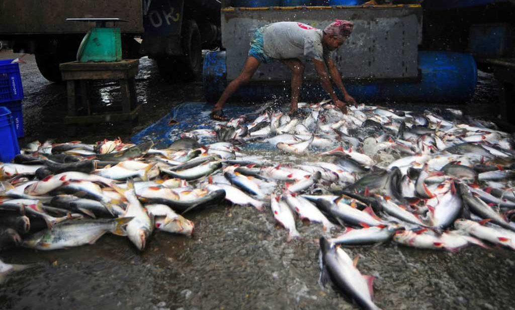Mondiaal visverdrag tegen illegale visserijpraktijken