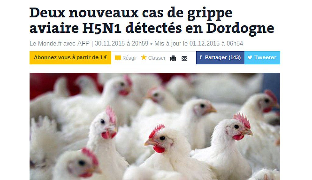 Meer vogelgriep H5N1 in Franse pluimveeregio Dordogne