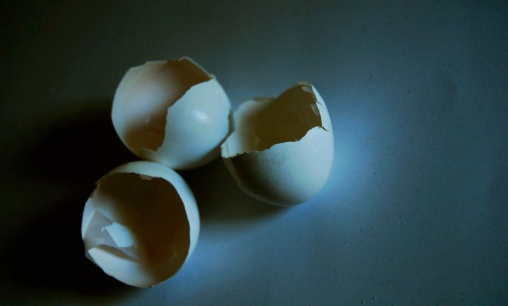 Vervoersverbod eieren opgeheven, Aldi kan gerust zijn