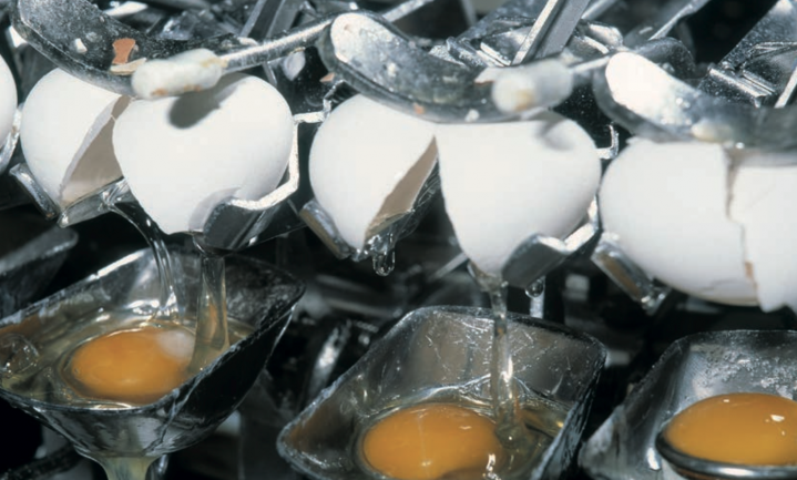 Regeringscoalitie laat eierboeren in onzekerheid