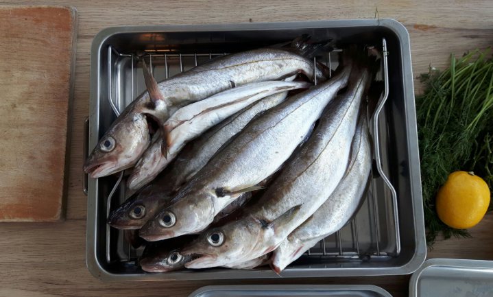 Wijting Vlaamse vis van het jaar
