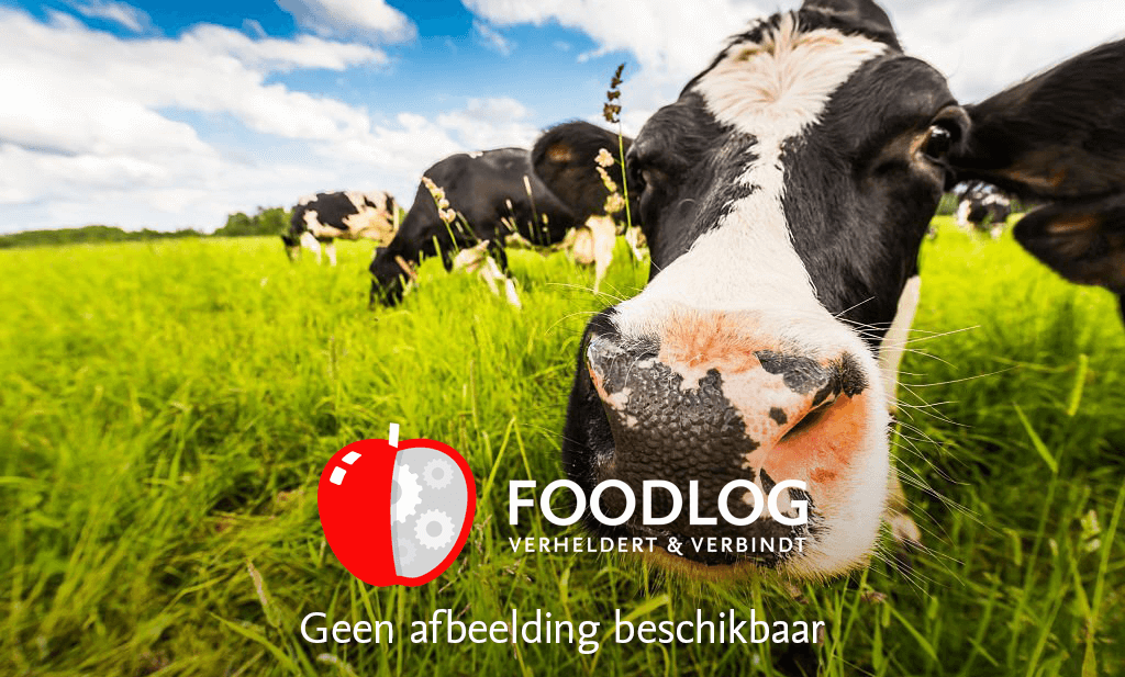 Nederland krijgt Food Film Festival